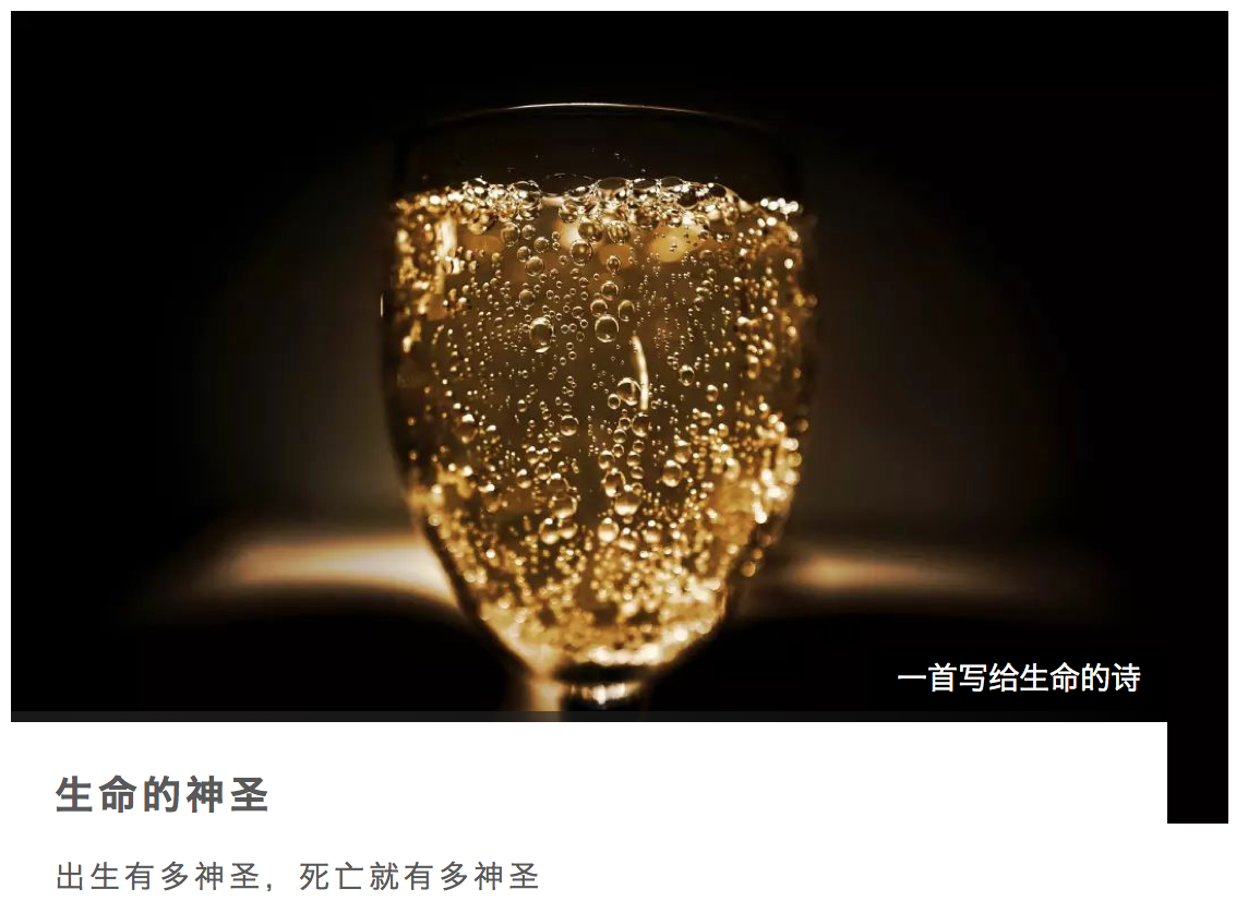 Screen Shot 2018-10-05 at 12.01.30 PM.png